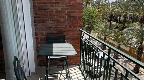 Photo 5 of Flat for rent in Centro, Elche / Elx