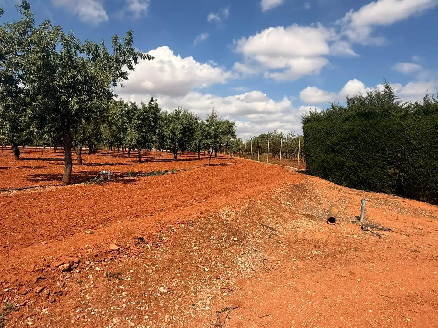 Finca rústica en venda en Cartagena amb Aire condicionat, Terrassa i Traster