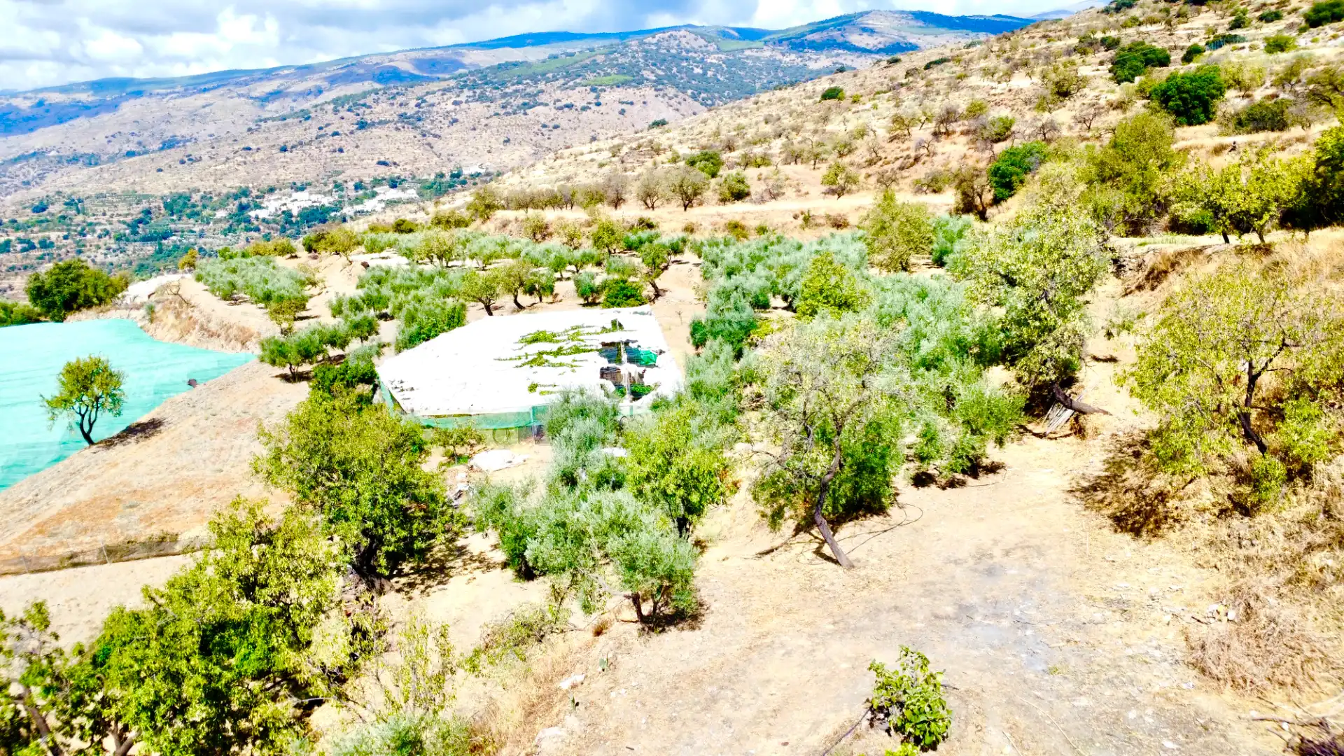 Terreno rustico in vendita a N/A, imagen 3