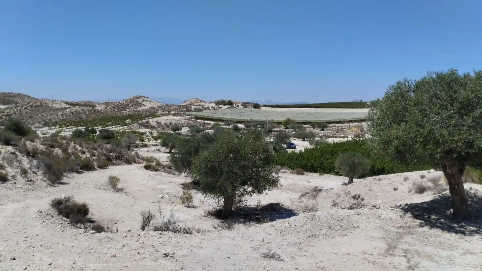 Grundstücke zum Verkauf in Molina de Segura