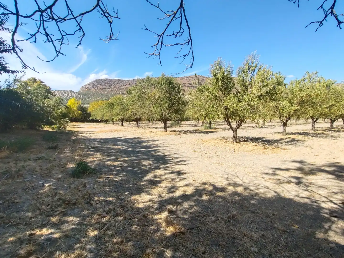 Country homes for sale in Priego de Córdoba  with Private garden, Terrace and Swimming Pool