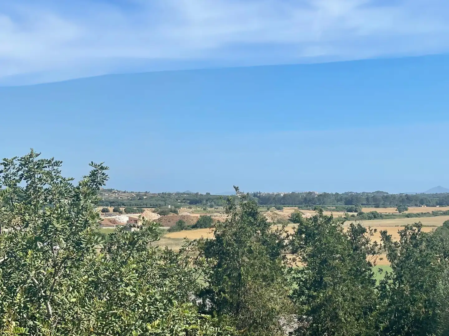 Finca rústica en venta en Ariany con Jardín privado