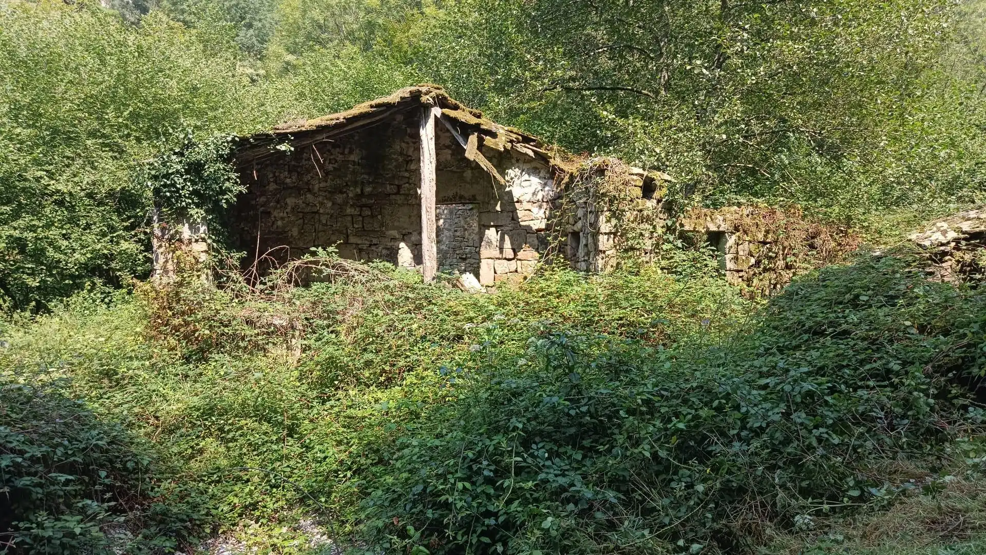 Casa in vendita a Selaya, imagen 4