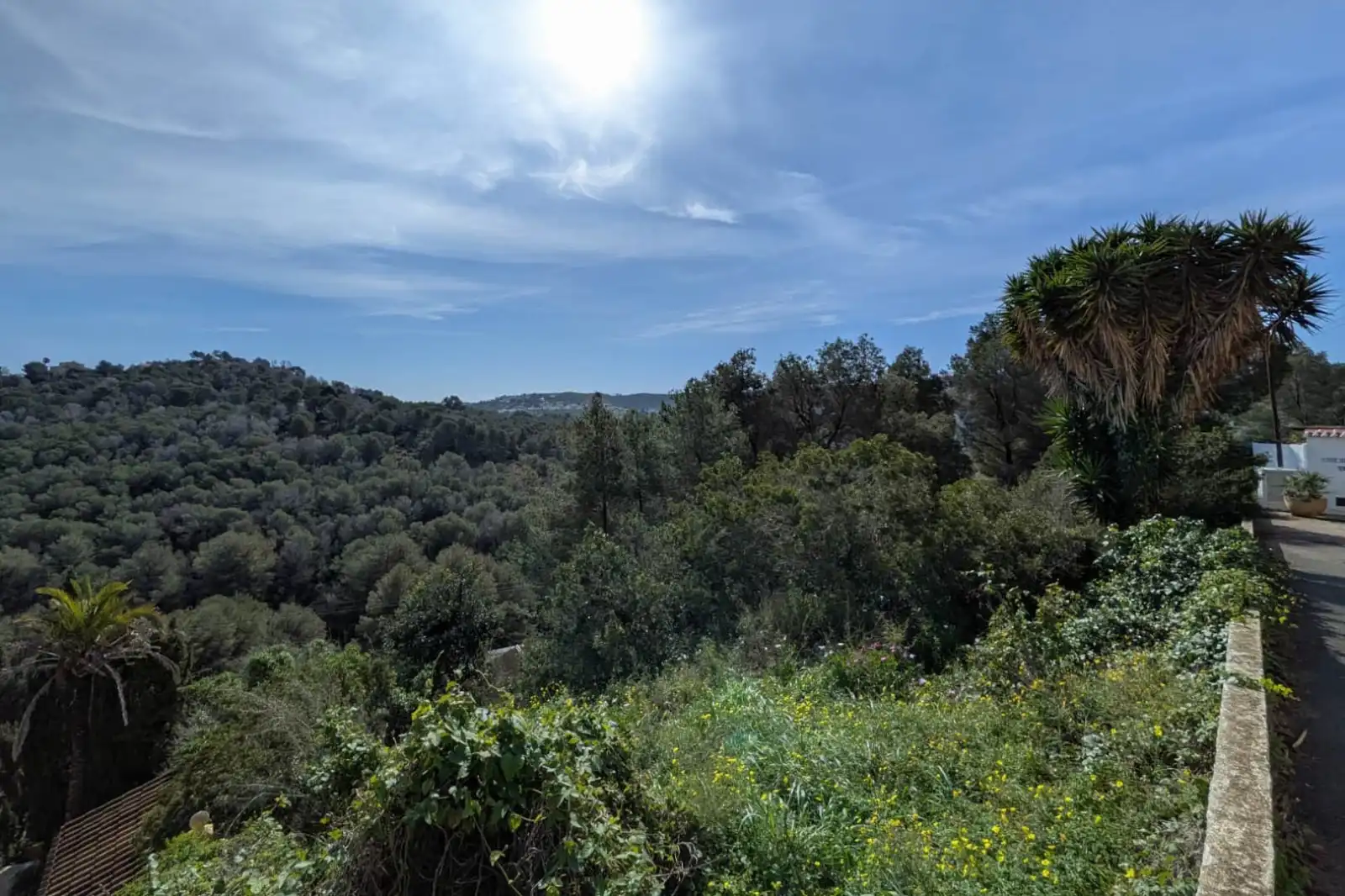 Residential land for sale in Centro ciudad, imagen 8