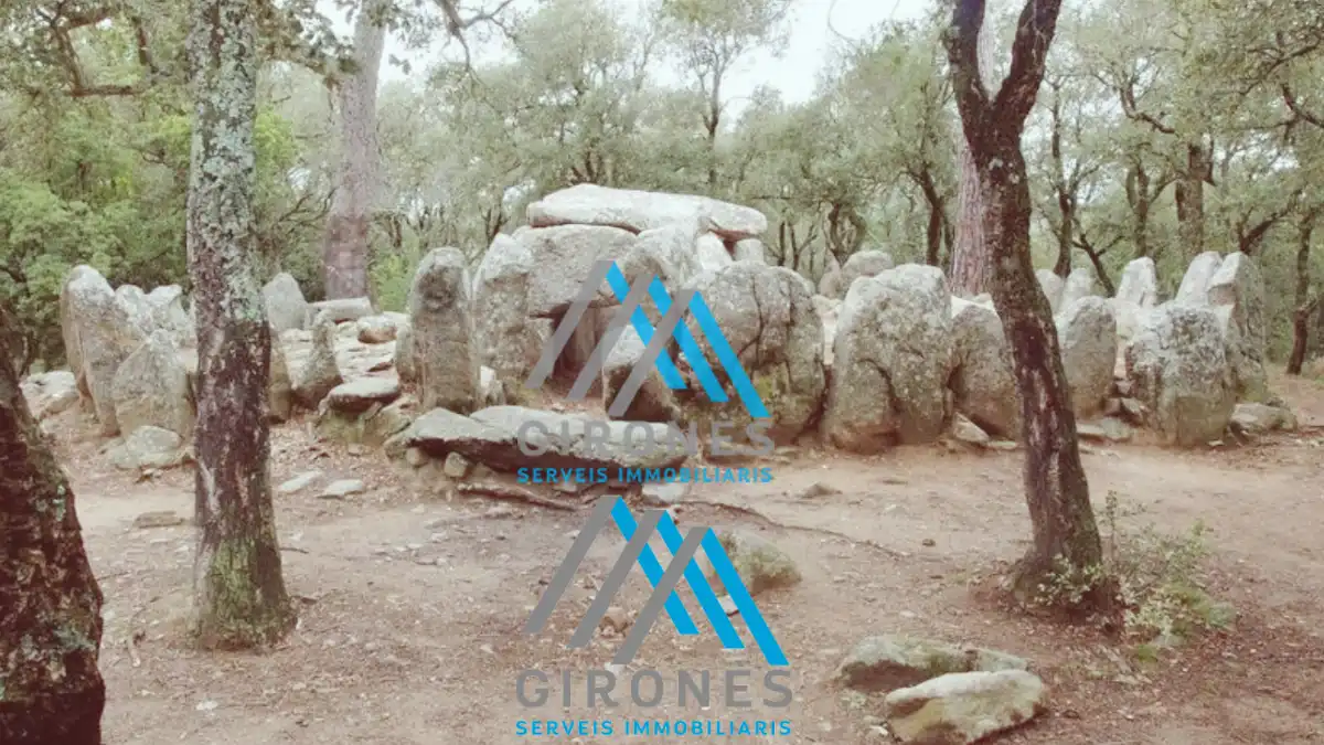 Nau industrial en venda a Crta. a castell d´aro, 40, Castell d'Aro