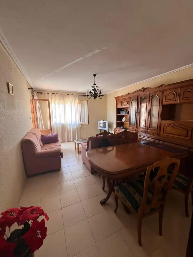 Wohnzimmer von Wohnung zur Miete in Alicante / Alacant mit Möbliert und Balkon