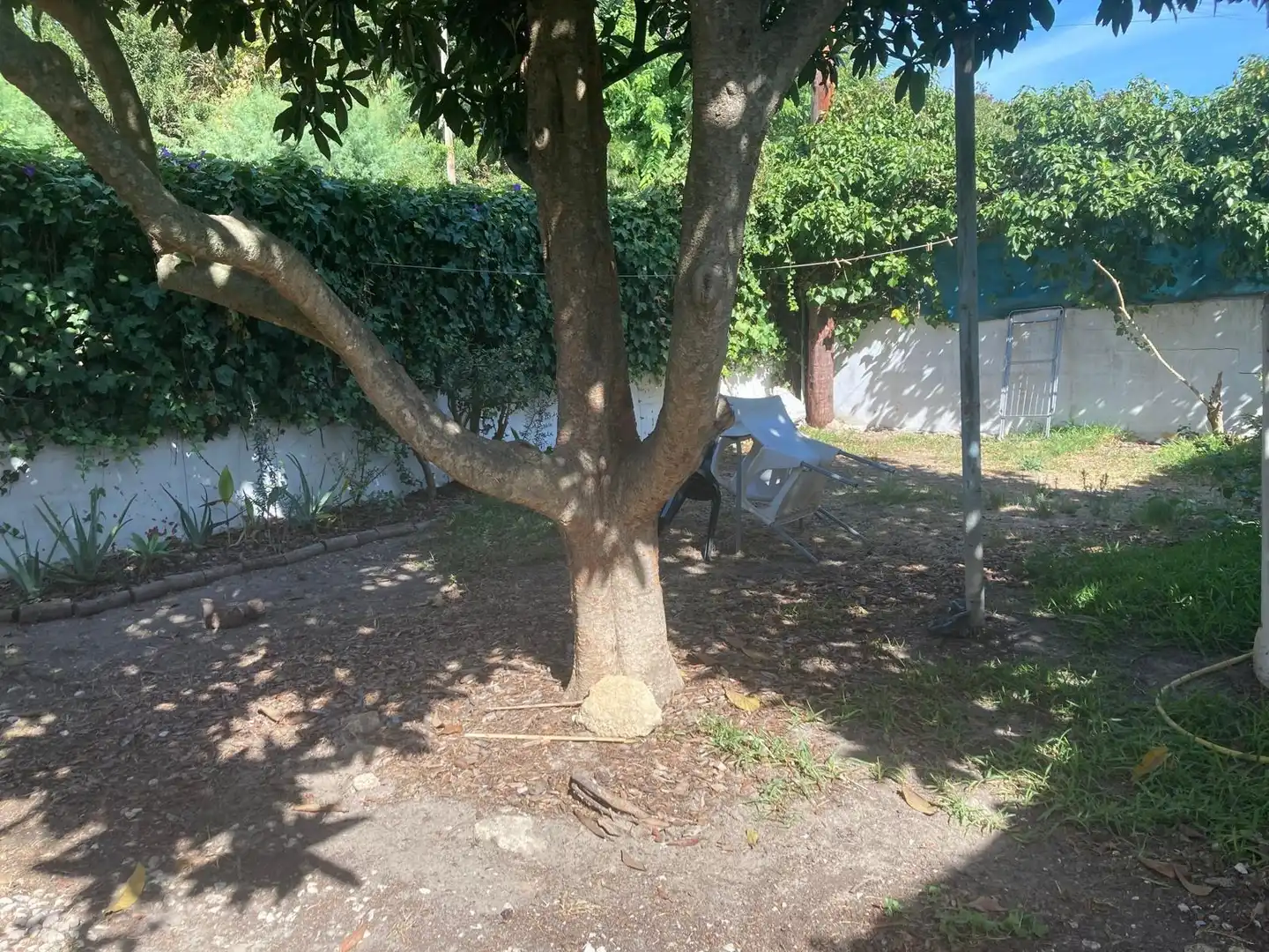 Casa rústica amb jardí en venda a Barbate ciudad, imagen 30