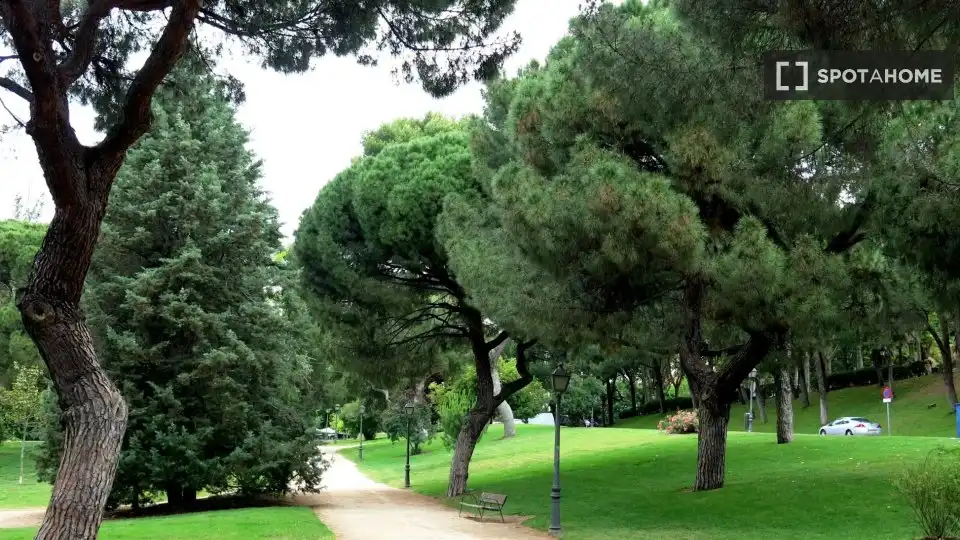 Pis de lloguer a Ciudad Universitaria