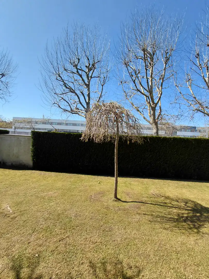 Garden of Flat for sale in Oleiros  with Heating, Private garden and Parquet flooring