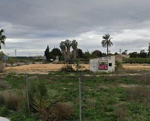 Land for sale in San Miguel de Salinas