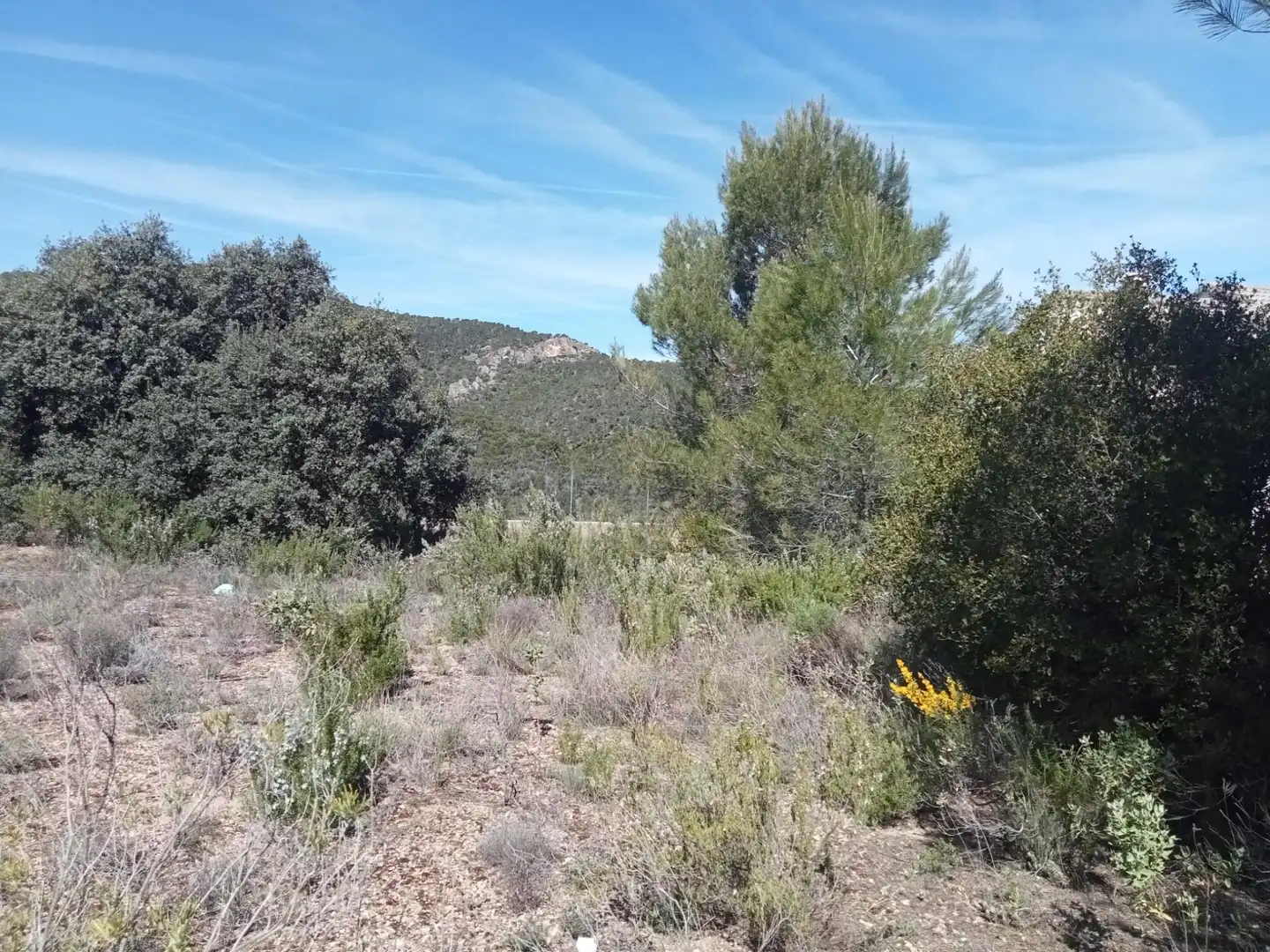 Residential land for sale in Urbanizacion NUEVA SIERRA EE, imagen 4