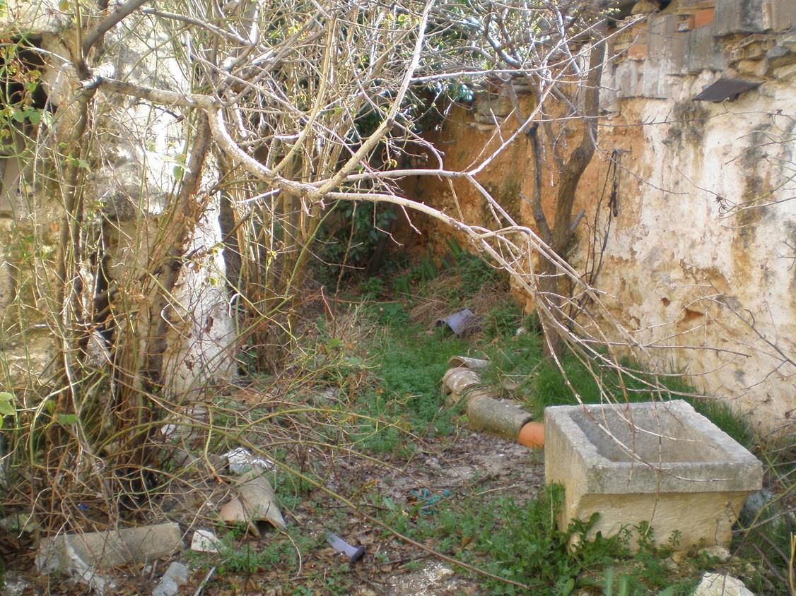 Garden of Residential for sale in Sisante