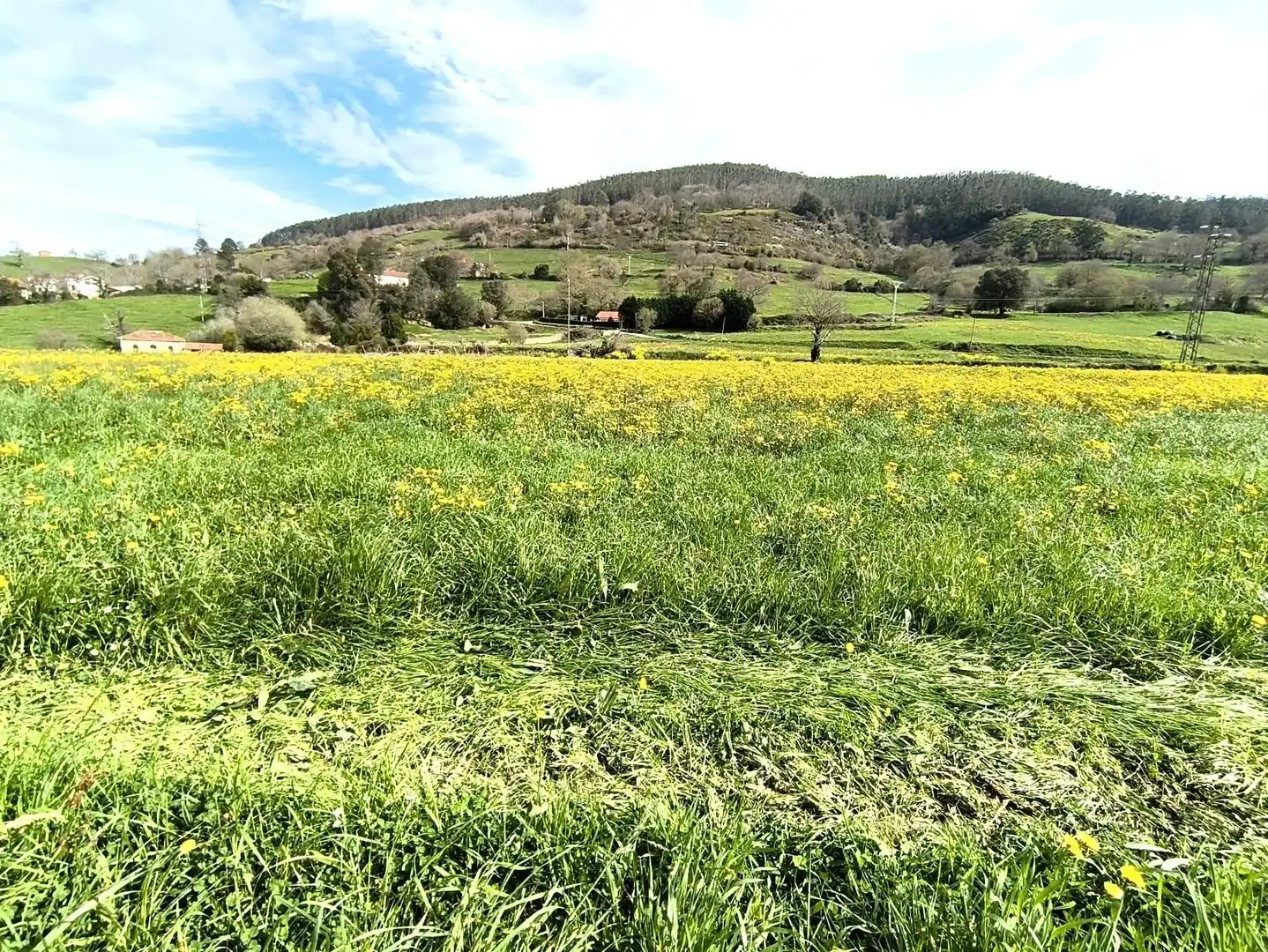 Terreny rústic en venda a Santa María de Cayón