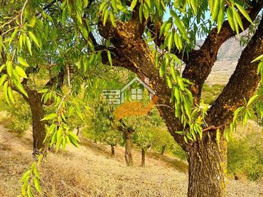 Casa rústica en venta en Vélez-Rubio