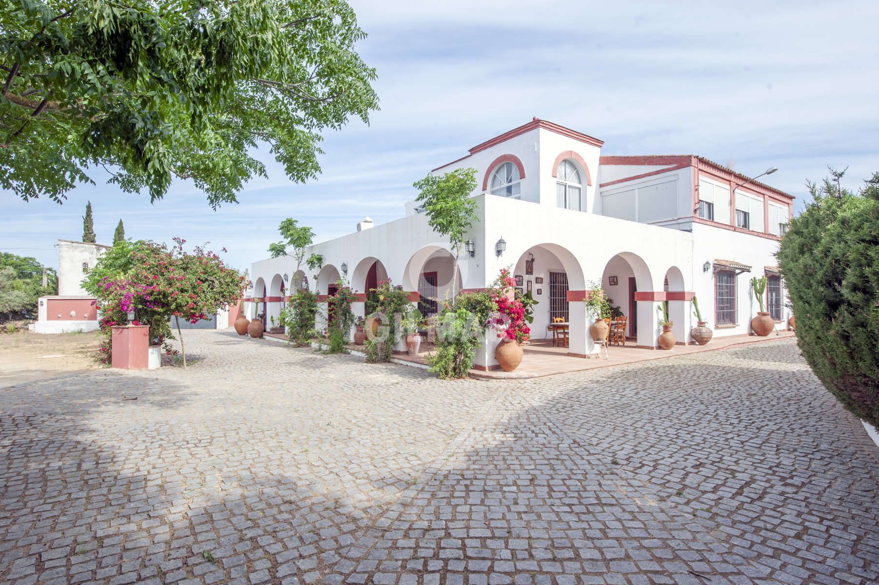 Vista exterior de Casa o chalet en venta en Alcalá de Guadaira con Piscina y Amueblado