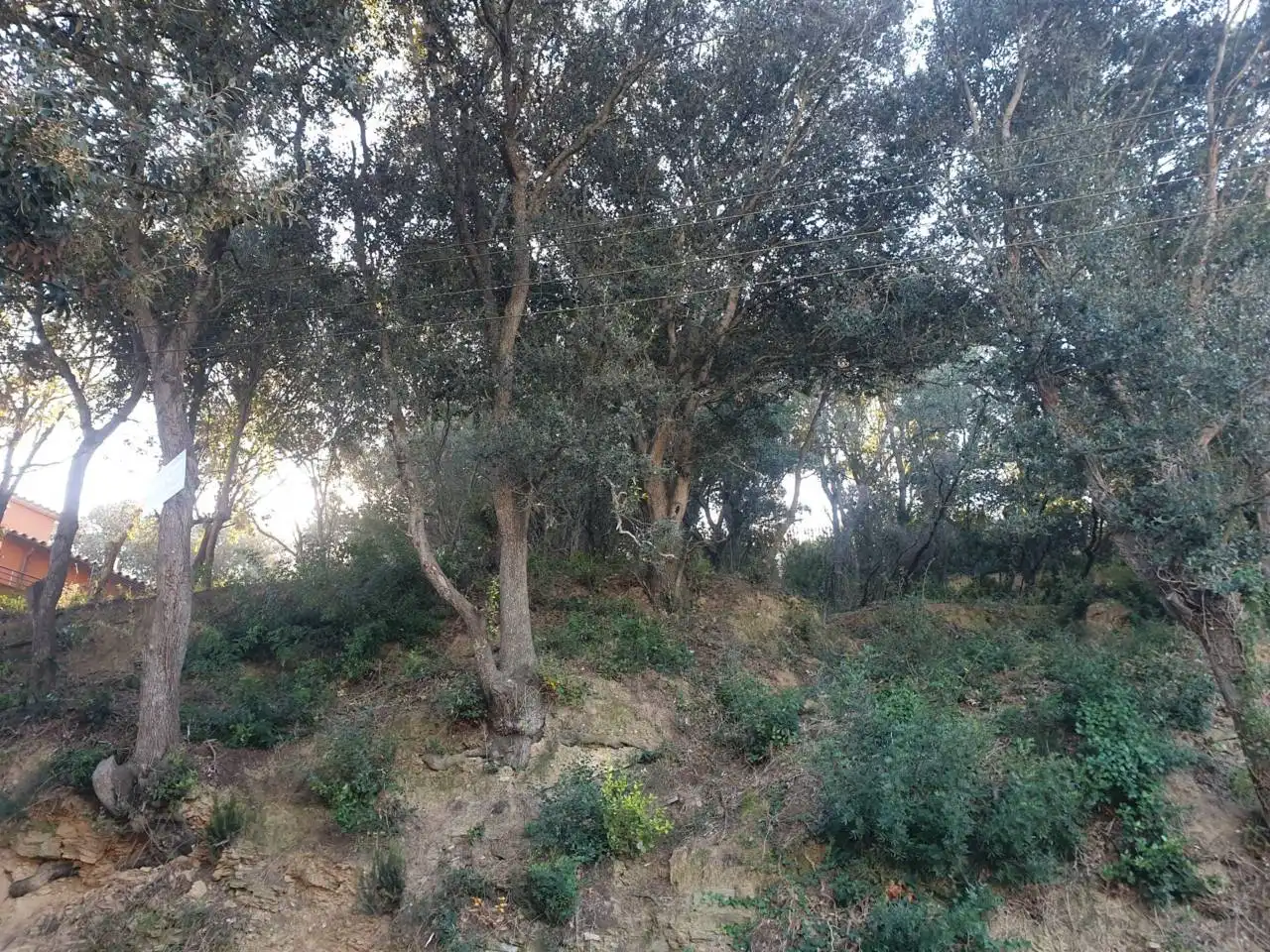 Rural land for sale in Mercuri 5, imagen 11