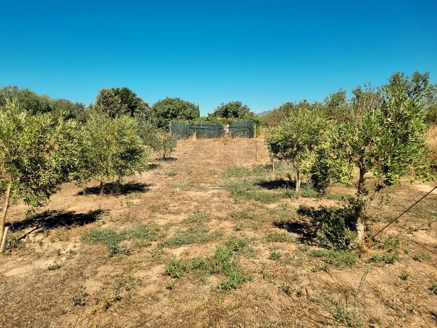 Lands and plots for sale in poligono 17 parcela 32, imagen 11