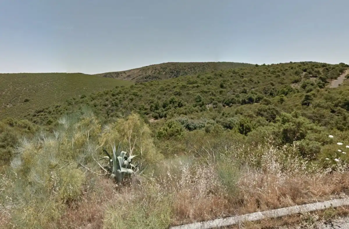 Terreno residencial en venta en Torremocha de Jarama, imagen 3