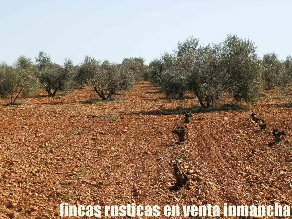 Rural land for sale in Valdepeñas, imagen 17