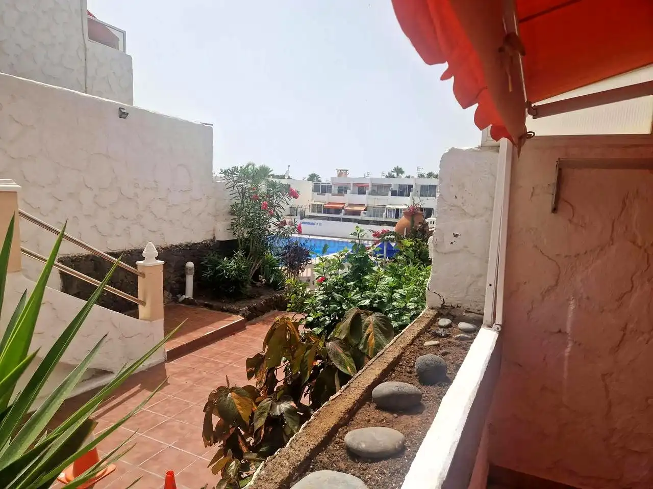 Estudio con piscina en venta en Avenida Jose Antonio Tavio, imagen 6