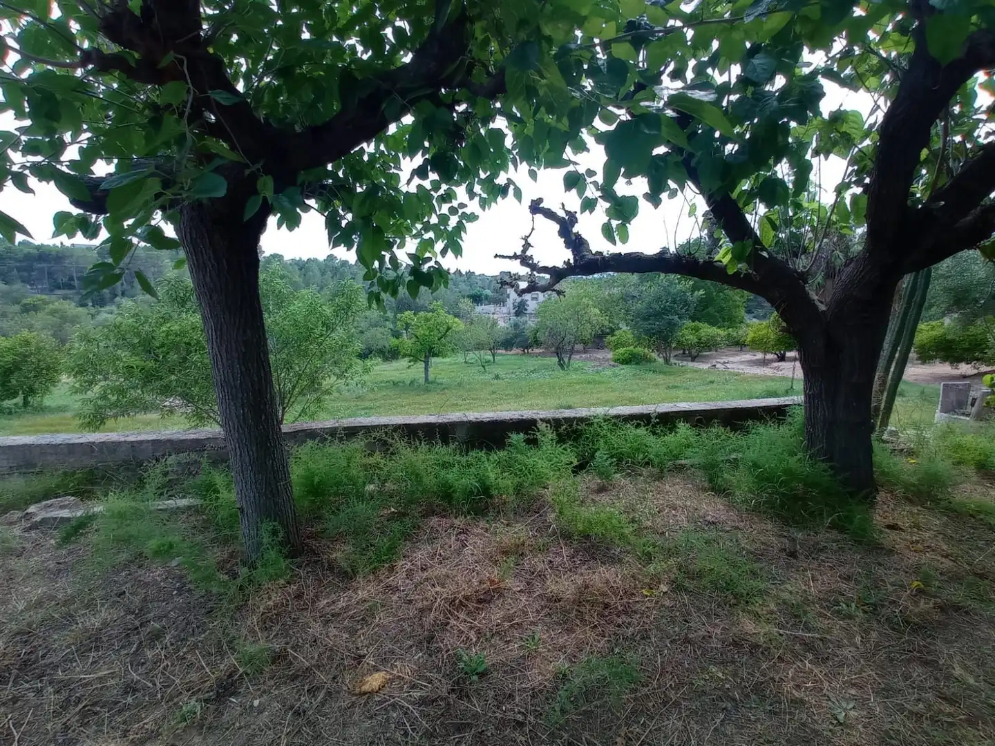Houses for sale in Tortosa