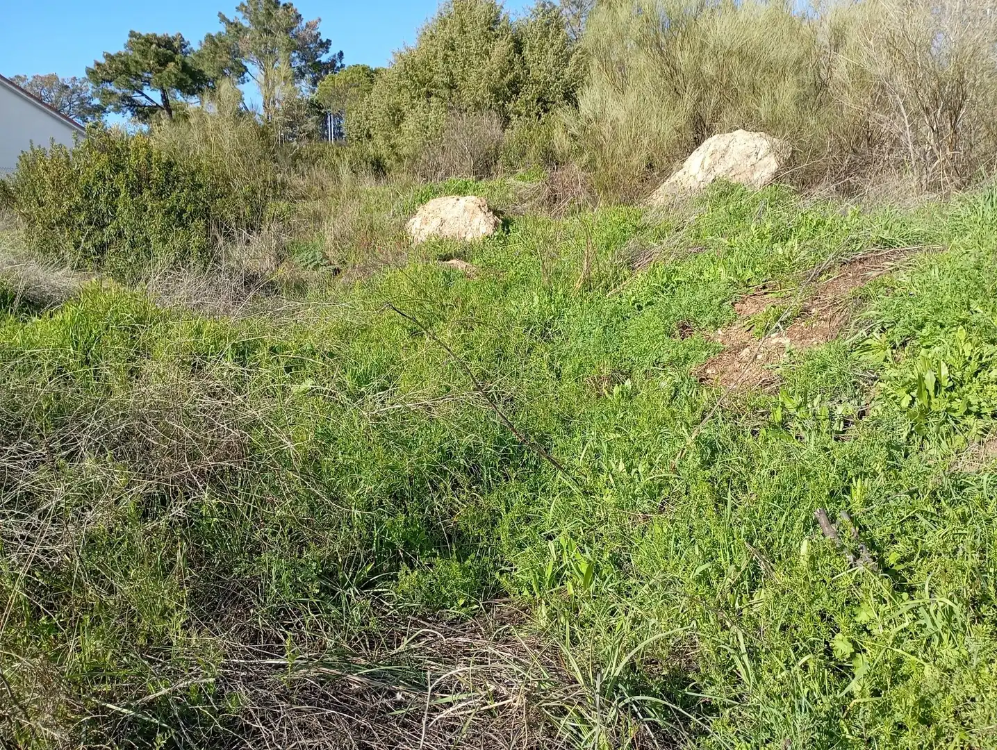 Terreni e lotti in vendita a Robledo de Chavela, imagen 14