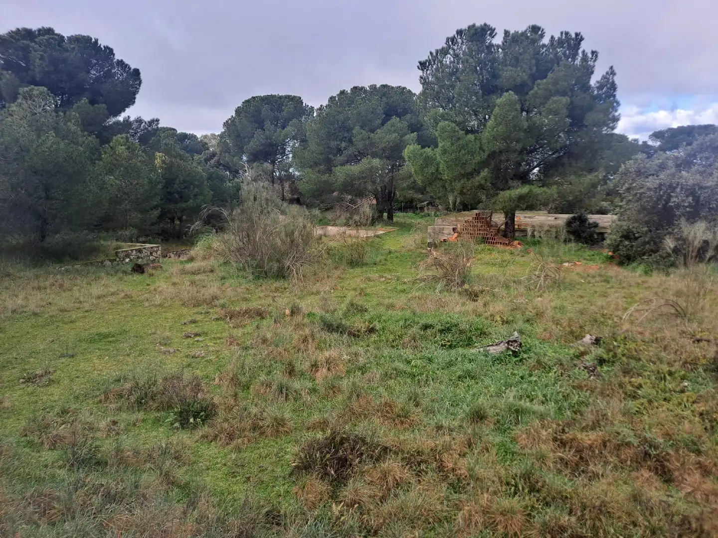 Residencial en venda en Boadilla del Monte