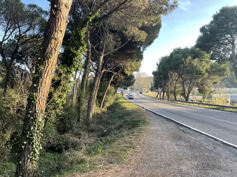 Rural land for sale in INDUSTRIAL CN II, POLIGONO 18, PARCELA 44, imagen 5