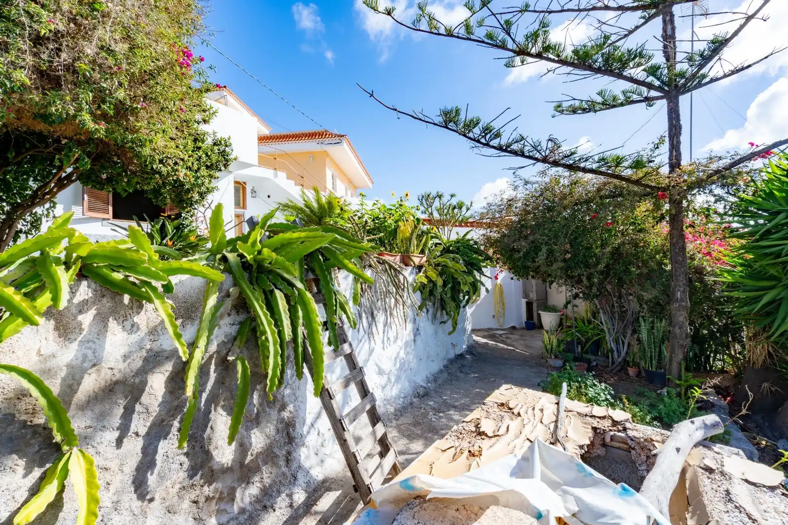 Vista exterior de Finca rústica en venta en Granadilla de Abona con Calefacción, Terraza y Amueblado