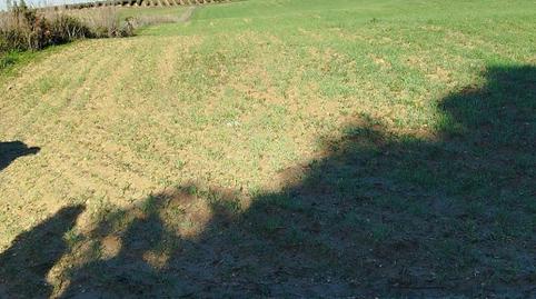 Photo 2 of Land for sale in Villanueva Golf, Puerto Real