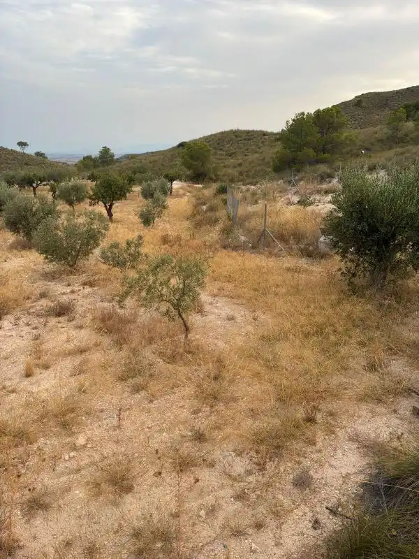 Casa amb terrassa en venda a Diseminado Barinas, imagen 30