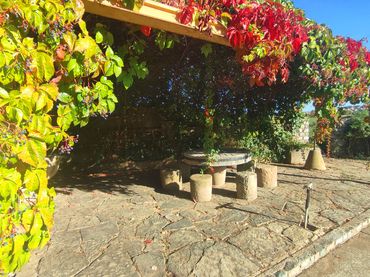 Landhaus mit Pool zum Verkauf in Barri Mion - Puigberenguer