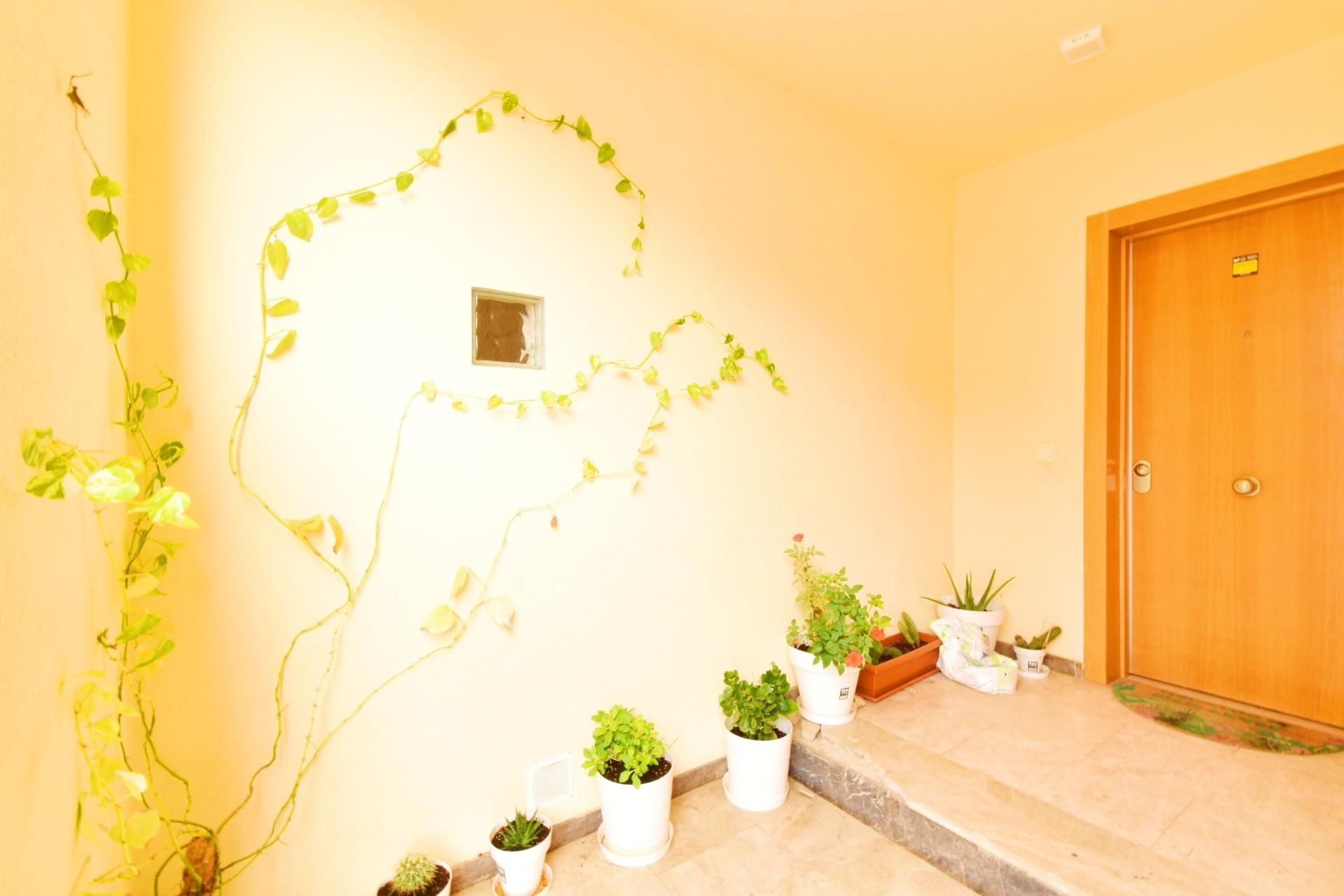 House or chalet for sale in Roquetas de Mar