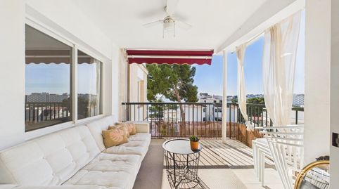 Foto 2 von Wohnung zur Miete in Palmanova, Calvià