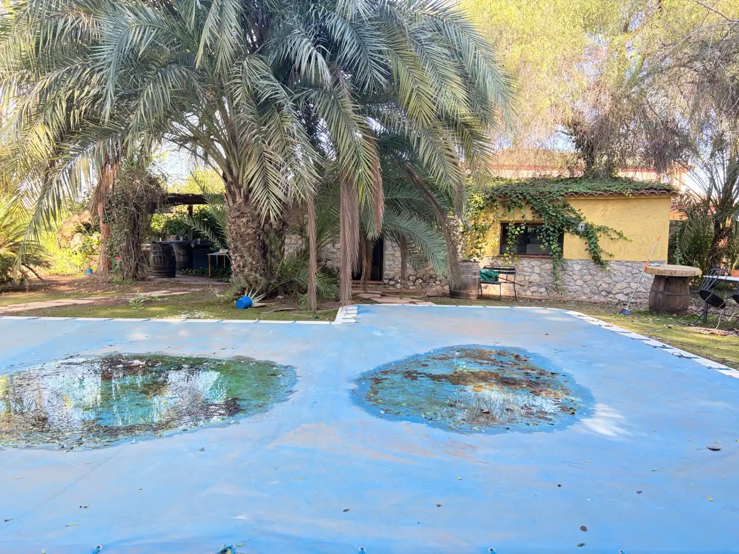Lands and plots for sale in Abanilla, imagen 20