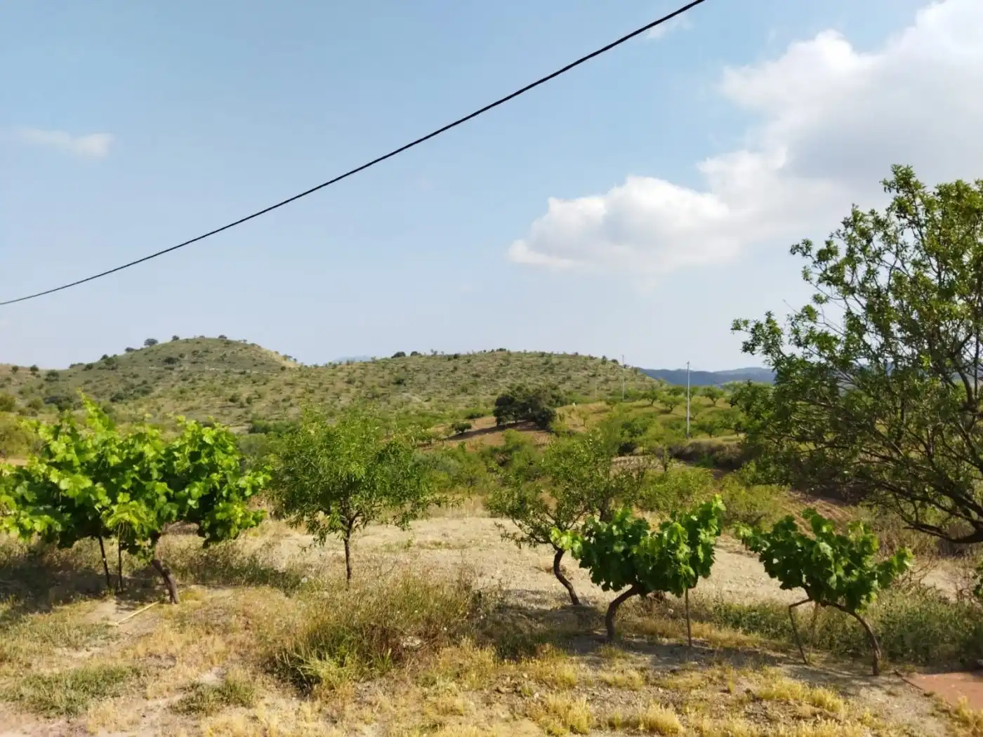 Casa rústica amb jardí en venda a Puerto Lumbreras, imagen 7