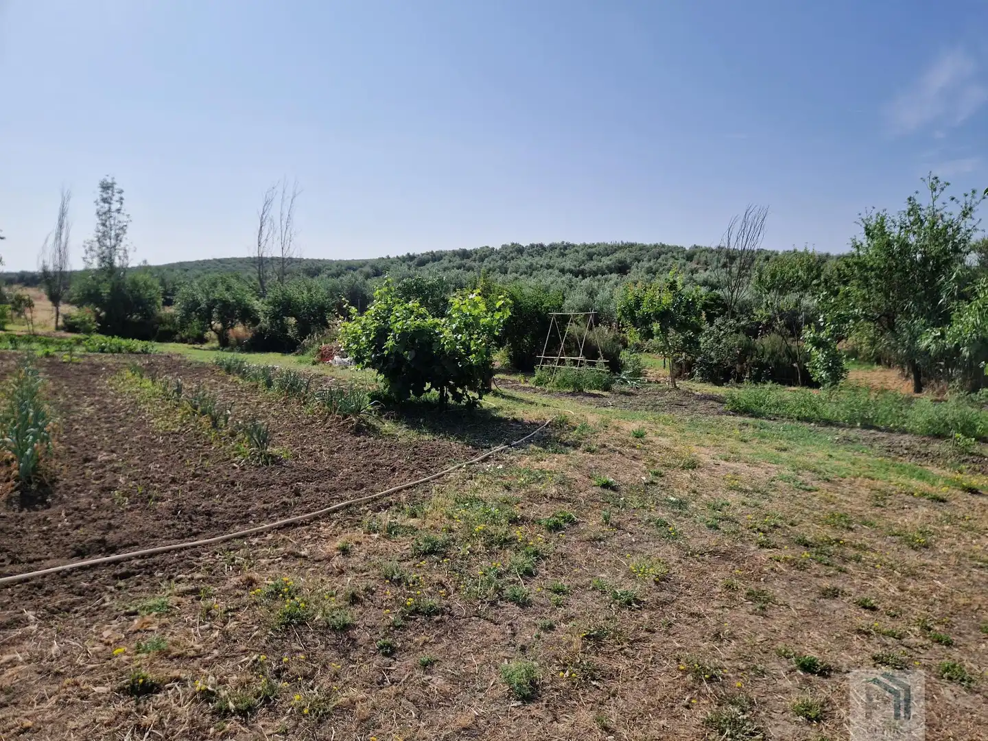 Terreni e lotti in vendita a Montilla, imagen 3