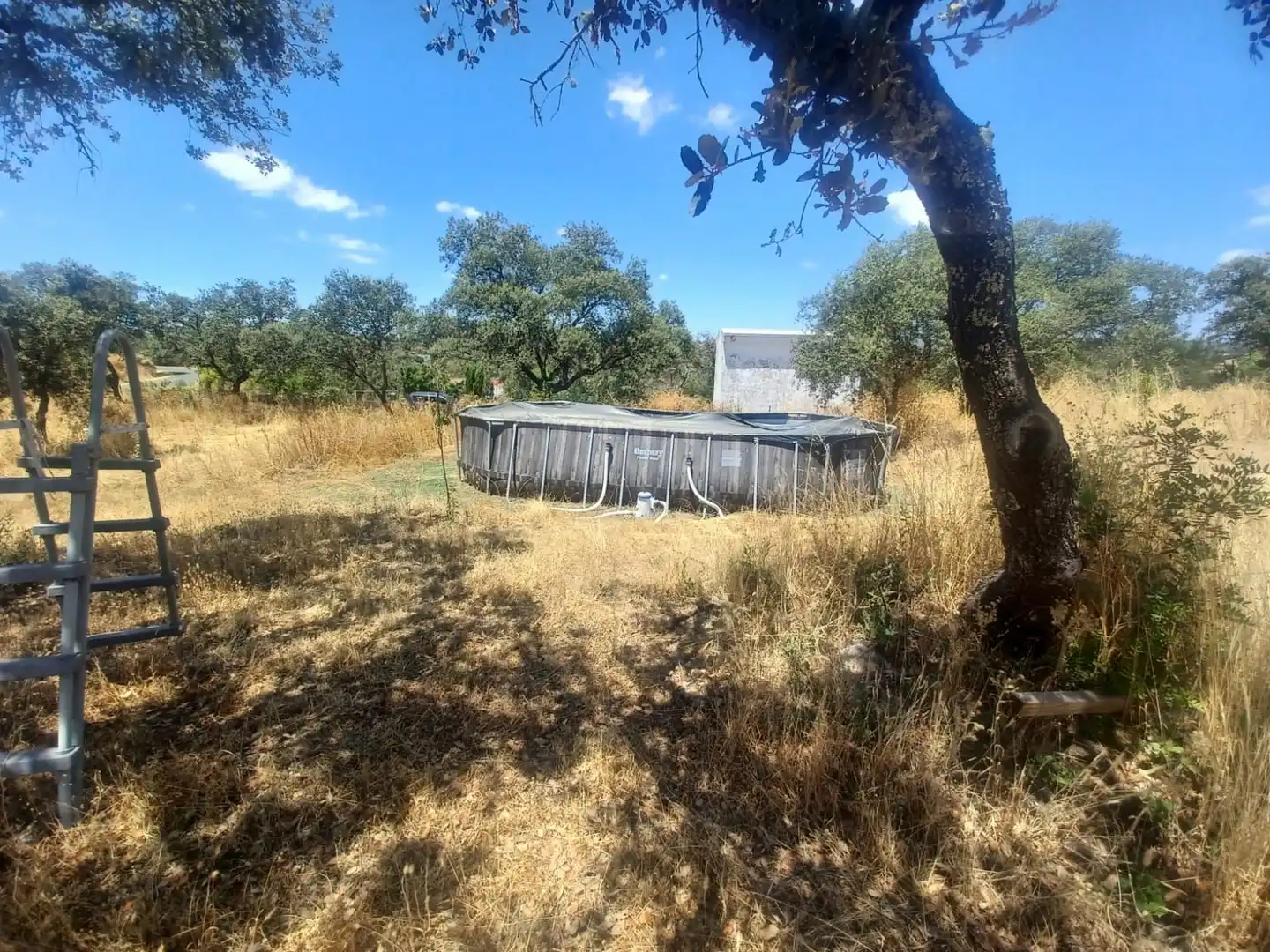 Haus mit Pool zum Verkauf in Castilblanco de los Arroyos, imagen 17
