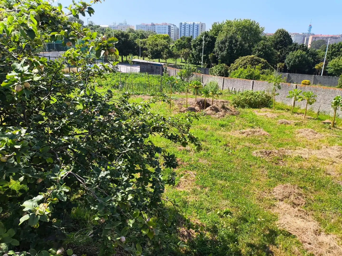 Terreni e lotti in vendita a Avenida de Lamadosa, imagen 10