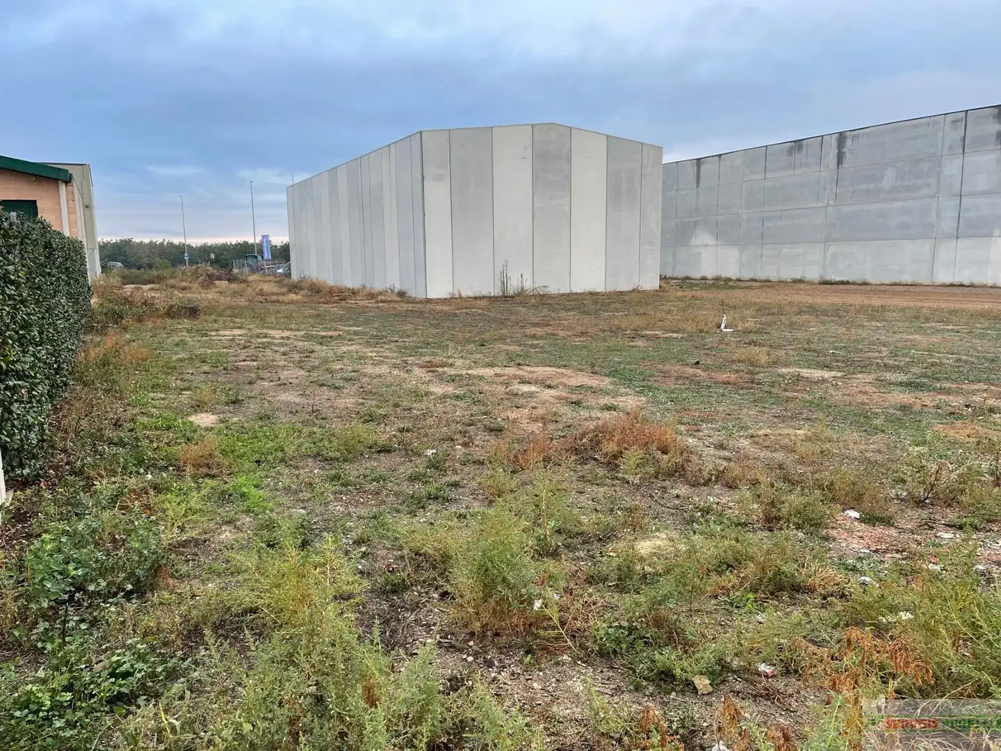 Terreno industrial en venta en El Palau d'Anglesola, imagen 2