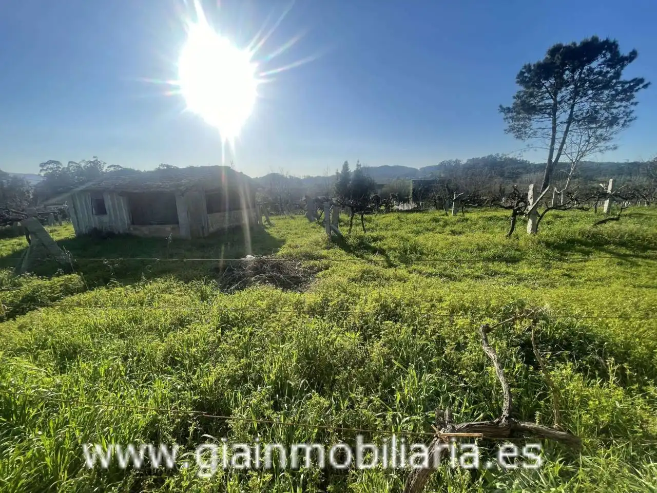 Casa con jardín en venta en Calle Xestal, imagen 22