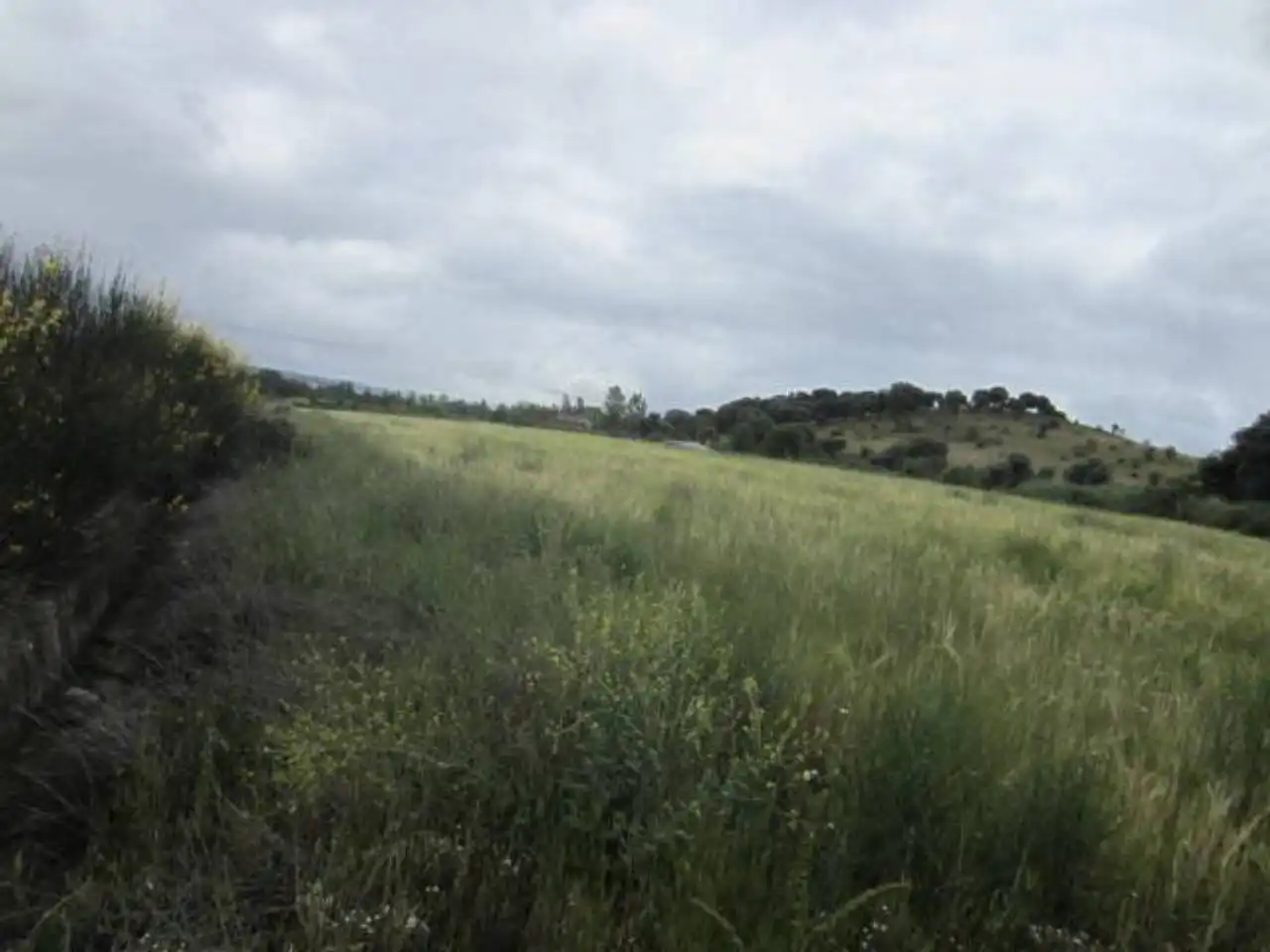 Terreno rústico en venta en Poligono 17, imagen 11