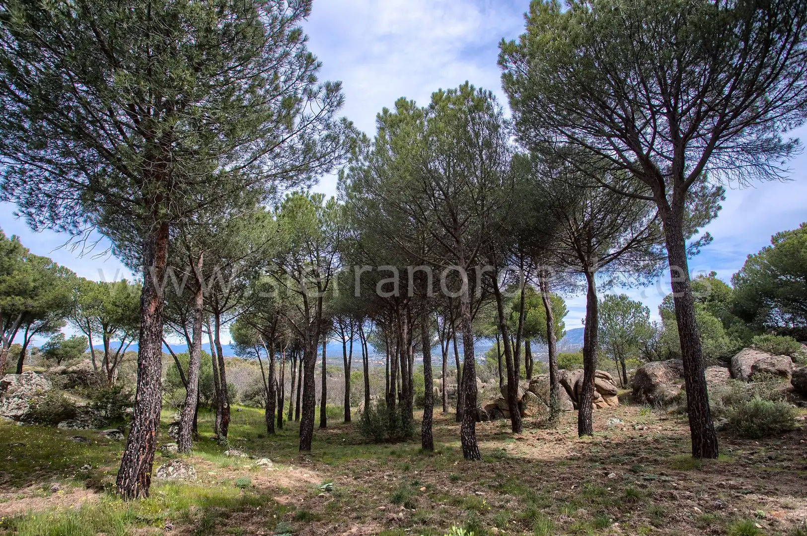 Casa o chalet en venta en Puerto de Galapagar - Las Cuestas