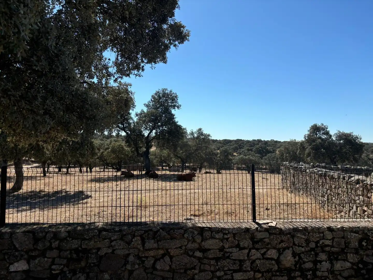 Terreny rústic en venda a Pozoblanco, imagen 18