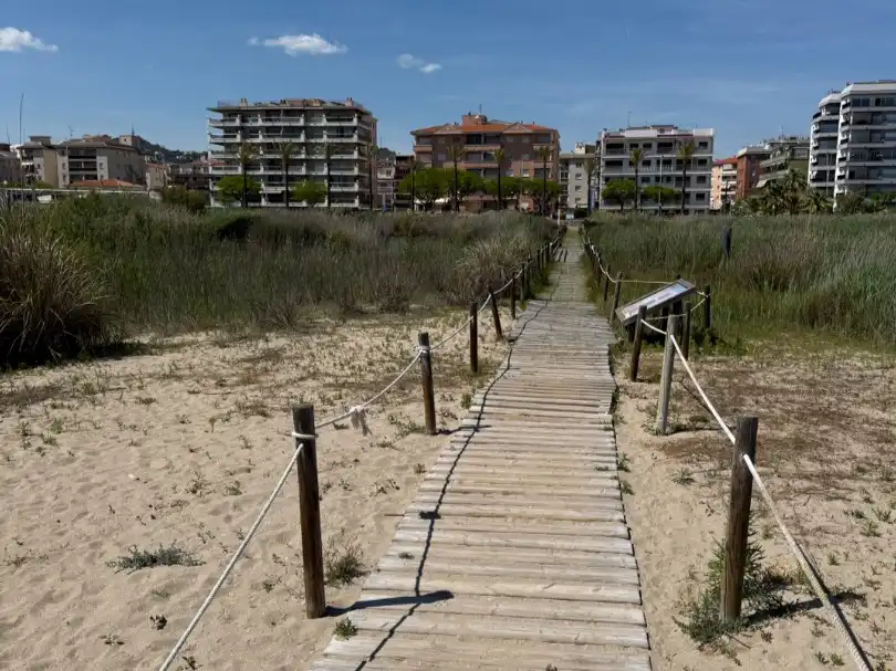 Apartment mit Garten zum Verkauf in Passeig Marítim de Sant Joan de Déu 246, imagen 43