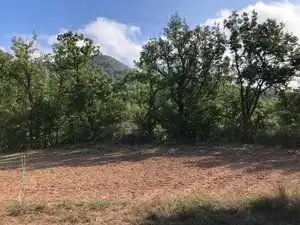 Grundstücke zum Verkauf in Moià