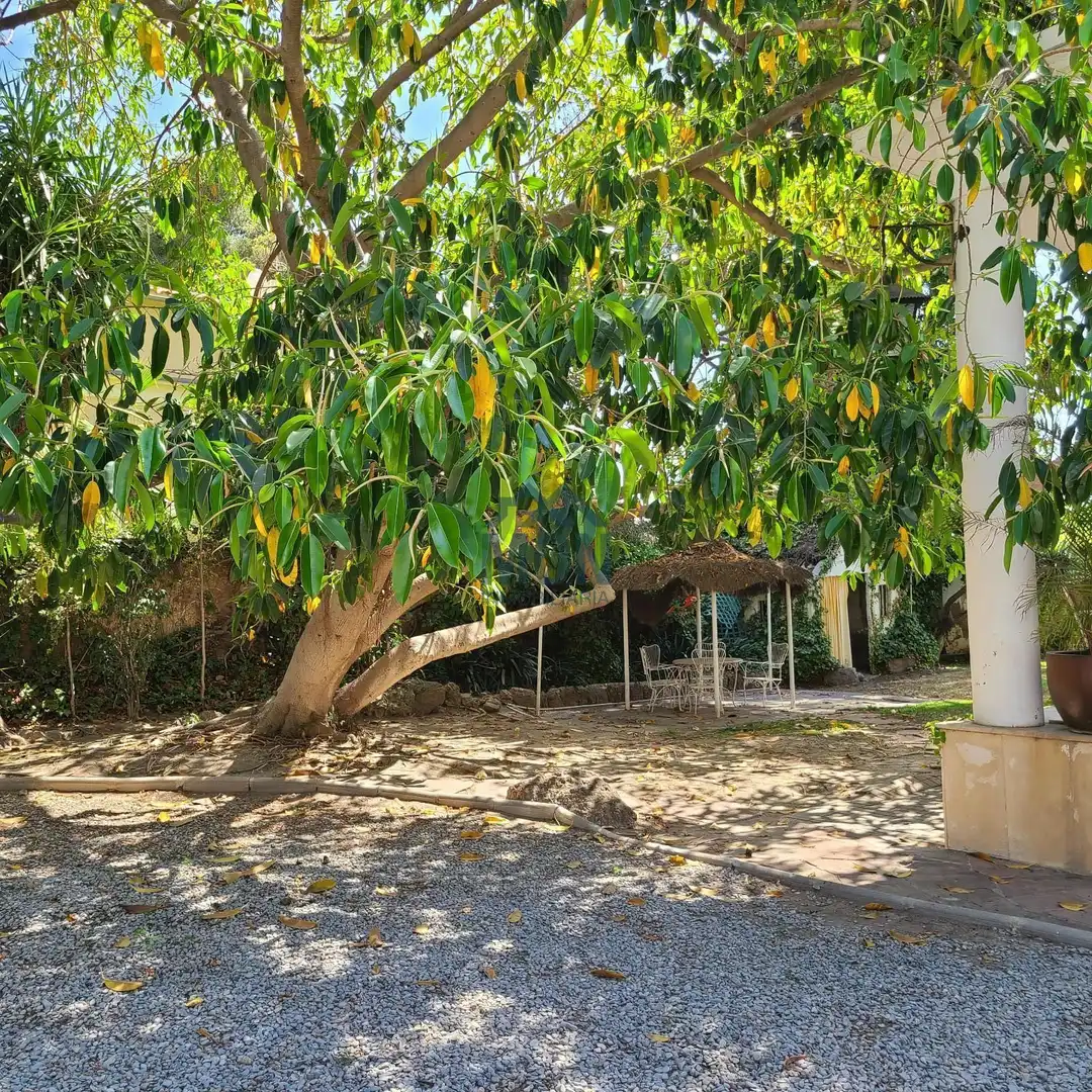 Casa con terrazza in vendita a Rocafort, imagen 66