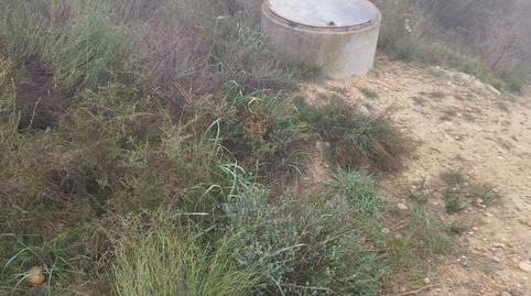 Foto 5 de Finca rústica en venta en Rosselló, Lleida