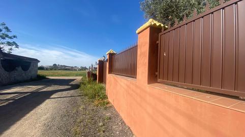 Photo 3 of Land for sale in  Bellavista, Bellavista, Sevilla