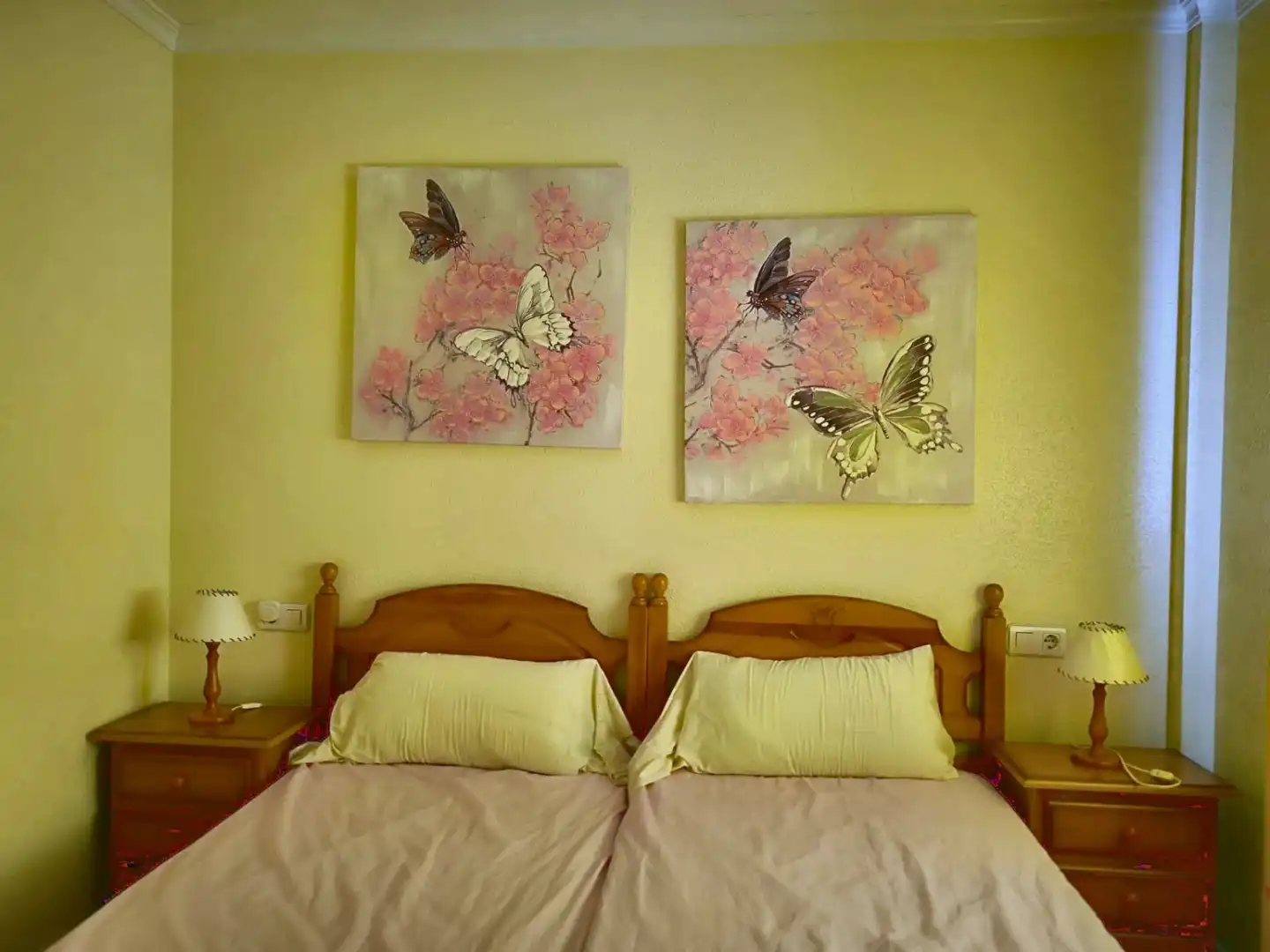 Apartments for rent in Bahia